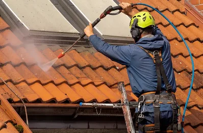 Démoussage et hydrofuge de toiture à Viplaix